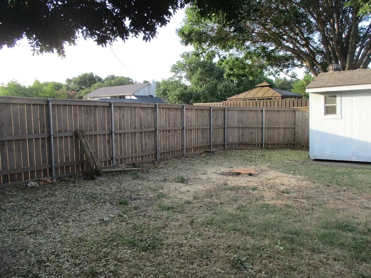 Cleared yard after professional tree removal in China Village